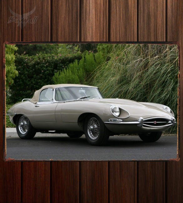 Металлическая табличка Jaguar E-Type Roadster (Series II) 340